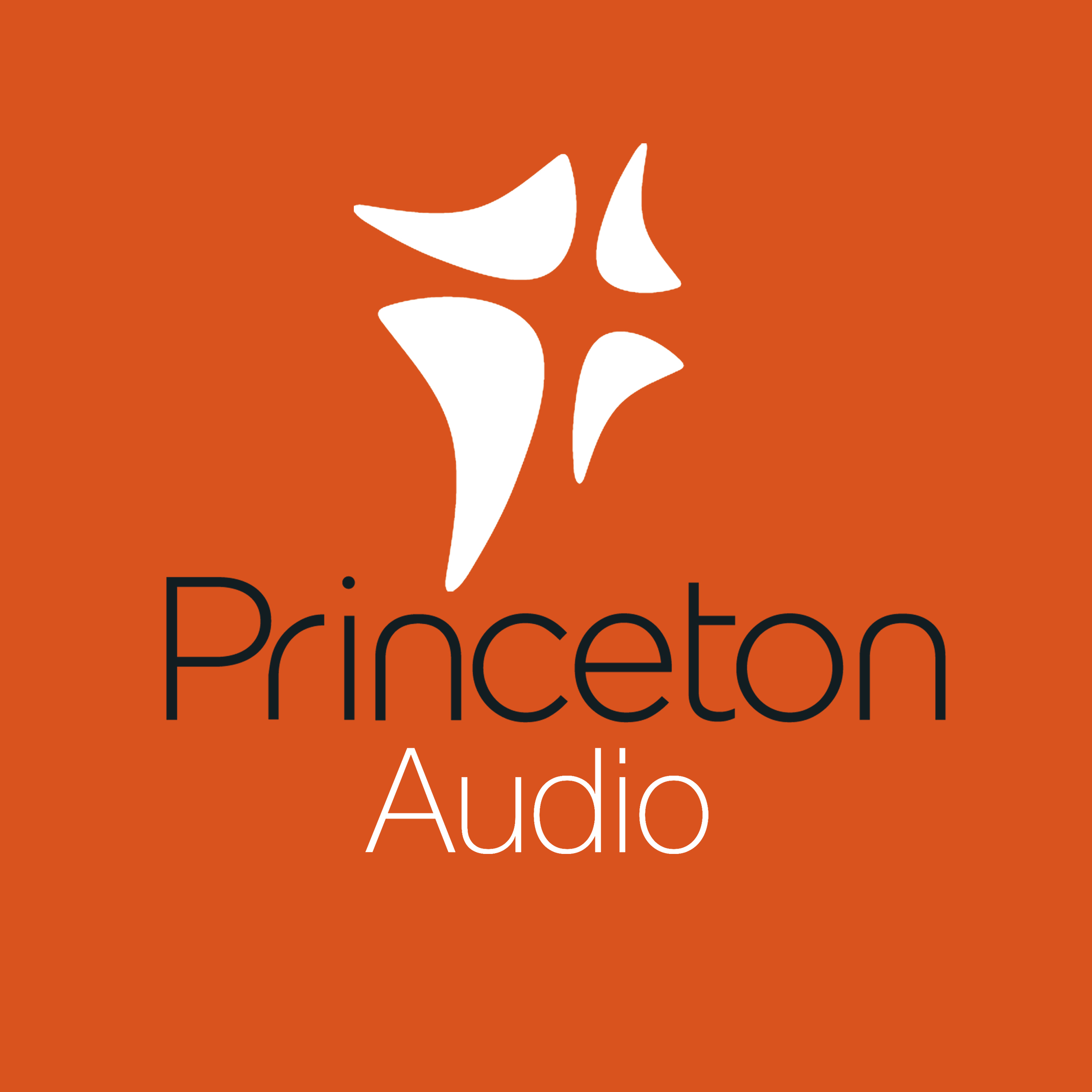 Princeton Church Audio